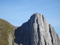 Altmann