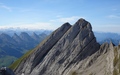 Wildhuser Schofberg