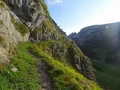 Wildhuser Schofbode