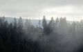 Les Combes