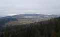 Saignelégier