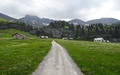 Älggialp