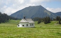 Älggialp