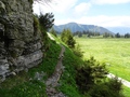 Älggialp