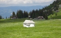 Älggialp