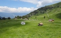 Älggialp