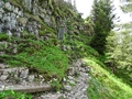 Älggialp