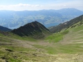 Astel