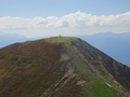 Wengenhorn