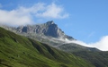 Gross Schijen