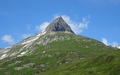 Schneehüenderstock
