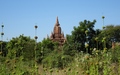 Bagan