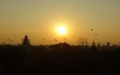 Bagan luchtballonnen