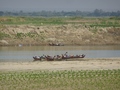 Irrawaddy