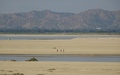 Irrawaddy