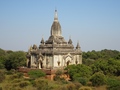 Shwegugyi