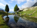Jungeralp