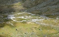 Jungtal