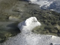 Schölligletscher