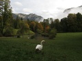 Schloss Linderhof