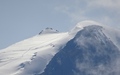 Bishorn