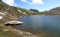 Lac P. 2848