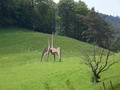 Allerheiligenberg: Stiron