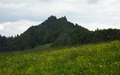Belchenflue