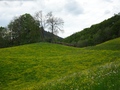 Chambersberg