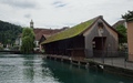 Thun