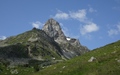 Meidhorn