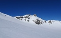 Birghorn