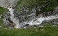 Birkkarklamm