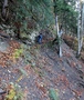 Bodmi-Müllerberge