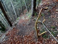 Schartiwald-Plattenberg