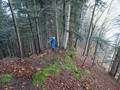 Schartiwald