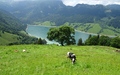Wägital