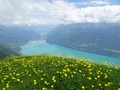 Brienzersee