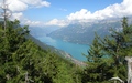 Brienzersee