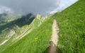 Lanzizähne