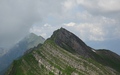 Schnierenhireli