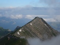 Schongütsch