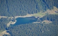 Arnisee