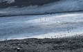Glacier Trail