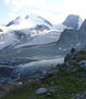 Strahlhorn en Rimpfischhorn met Steenbokken