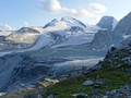Strahlhorn en Rimpfischhorn met Steenbokken