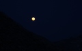 Volle maan