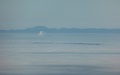 Belchen en Lägern boven de wolkenzee