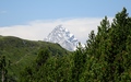 Tinzenhorn