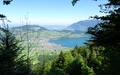Buochs